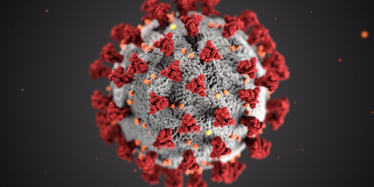 Virus-Infektionen im Unternehmen: Das müssen Arbeitgeber jetzt wissen