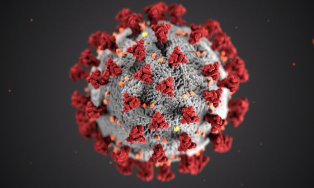 Virus-Infektionen im Unternehmen: Das müssen Arbeitgeber jetzt wissen